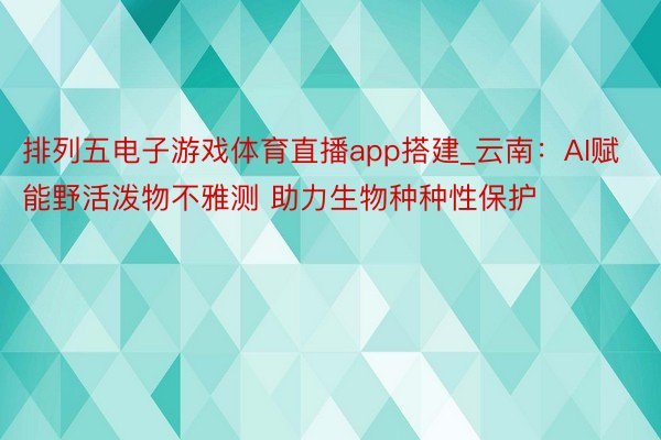 排列五电子游戏体育直播app搭建_云南：AI赋能野活泼物不雅测 助力生物种种性保护